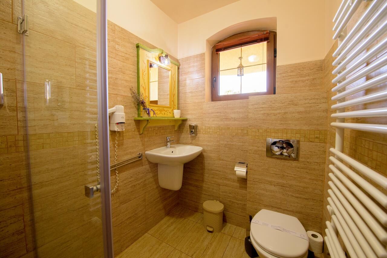 Отели типа «постель и завтрак» Pensiunea Normandia Тимишоара-20