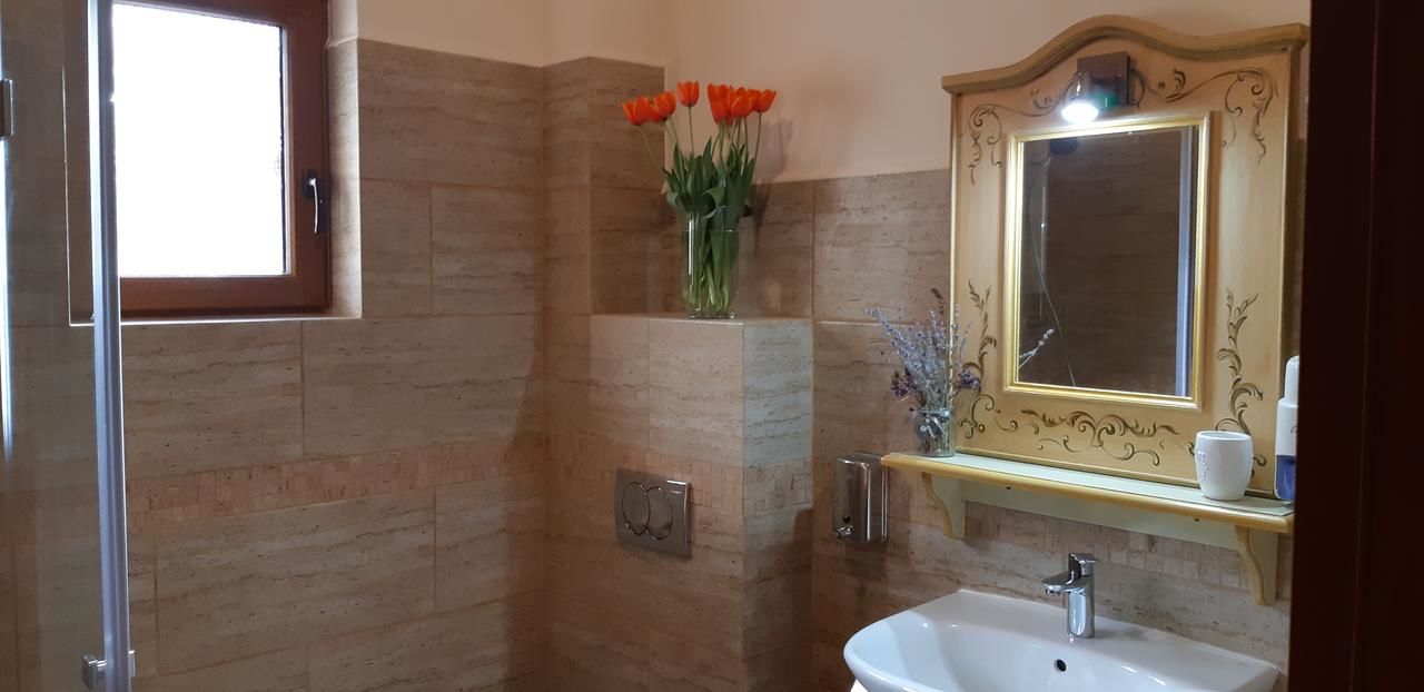 Отели типа «постель и завтрак» Pensiunea Normandia Тимишоара