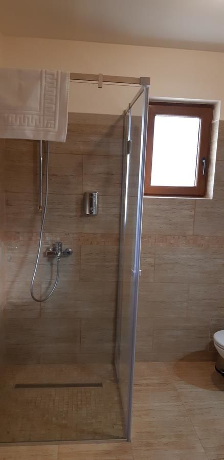 Отели типа «постель и завтрак» Pensiunea Normandia Тимишоара-32