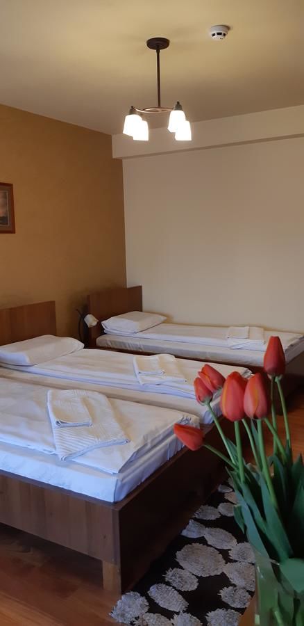 Отели типа «постель и завтрак» Pensiunea Normandia Тимишоара-34