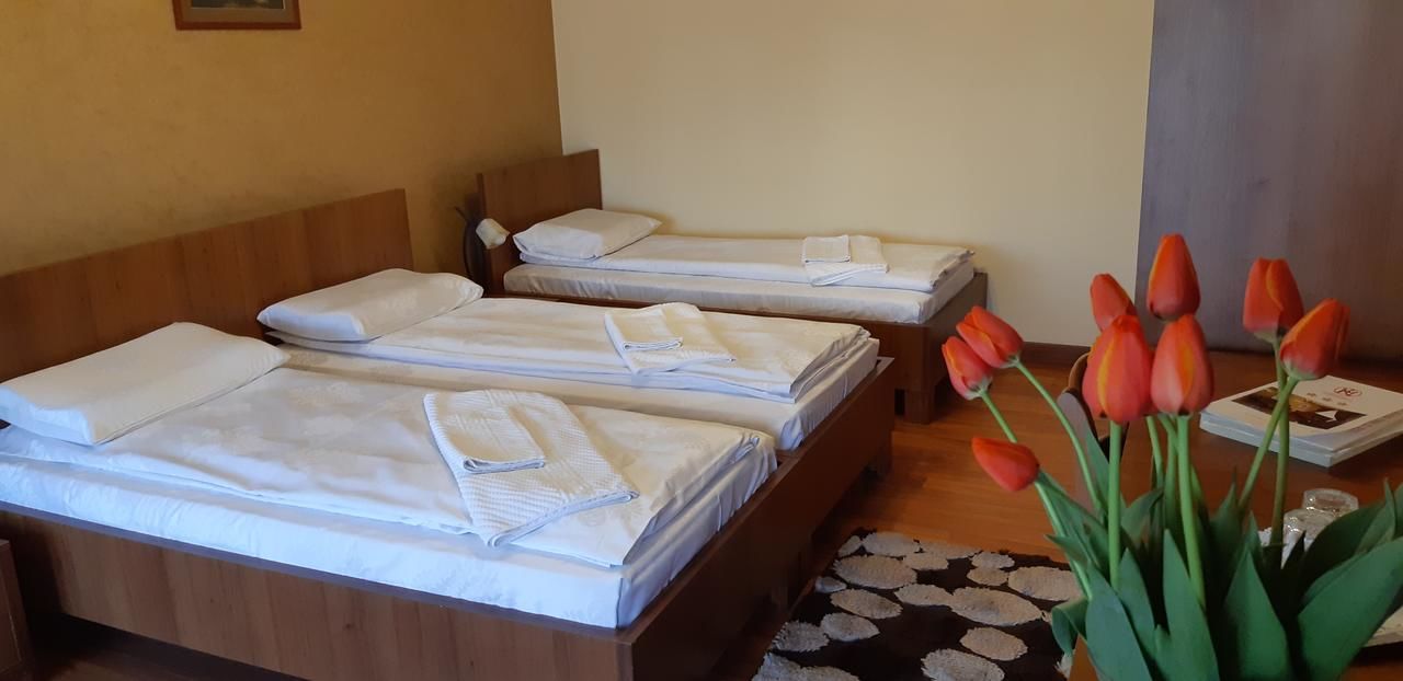 Отели типа «постель и завтрак» Pensiunea Normandia Тимишоара-38