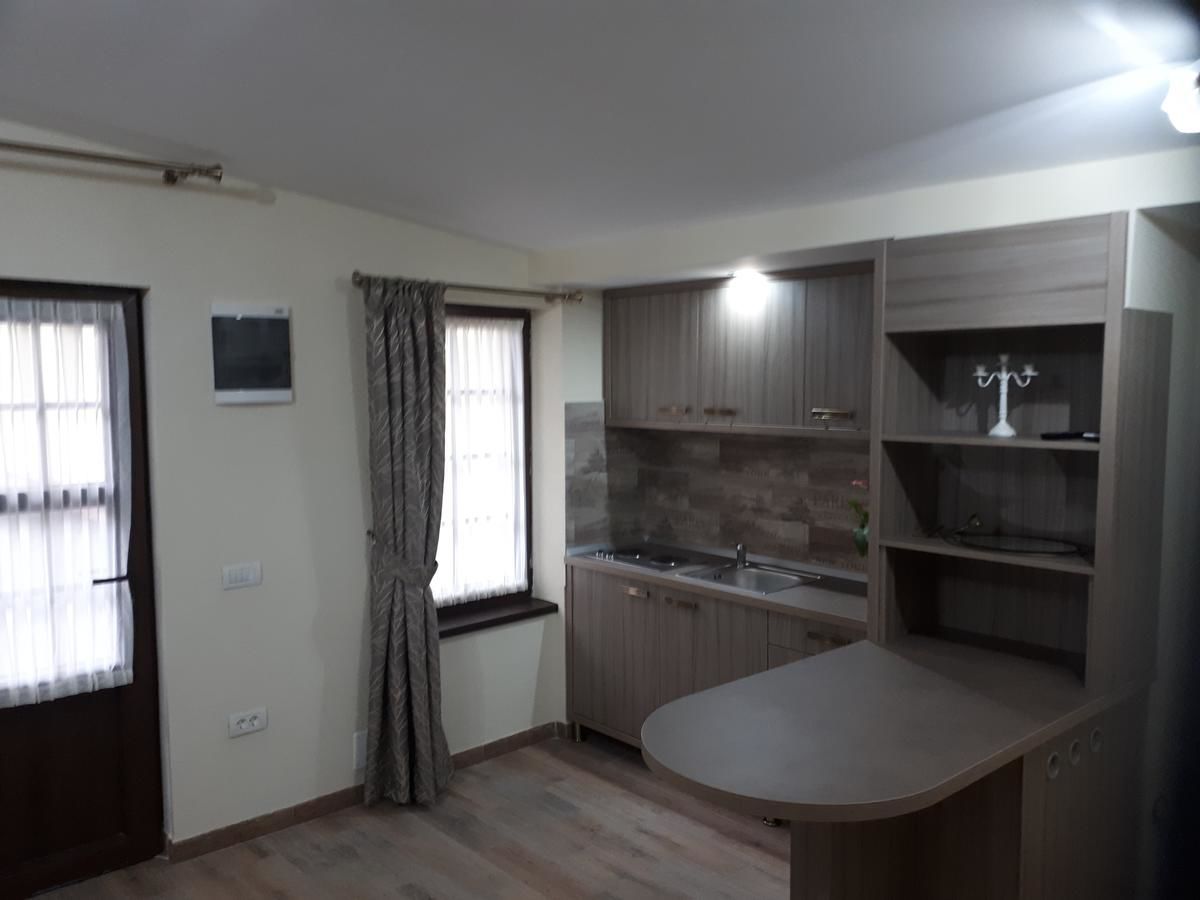 Отели типа «постель и завтрак» Pensiunea Normandia Тимишоара-46