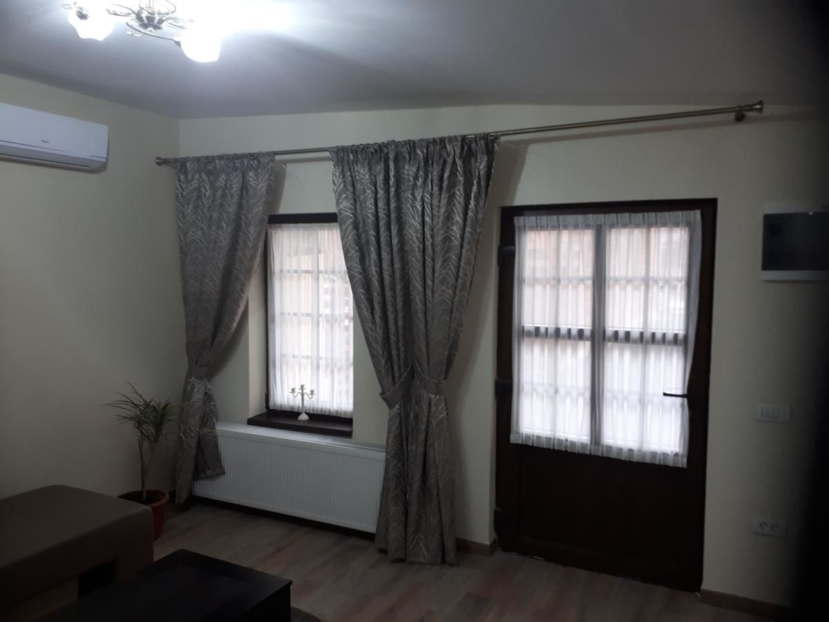 Отели типа «постель и завтрак» Pensiunea Normandia Тимишоара-47