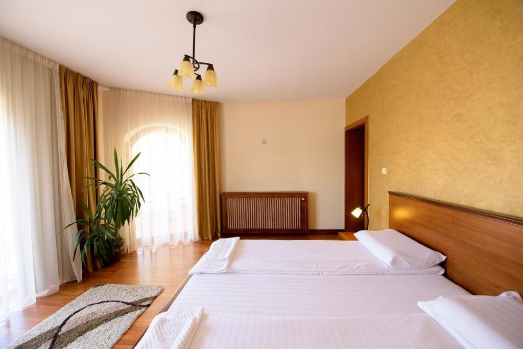 Отели типа «постель и завтрак» Pensiunea Normandia Тимишоара