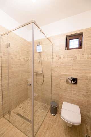 Отели типа «постель и завтрак» Pensiunea Normandia Тимишоара Апартаменты - 1-й этаж-1