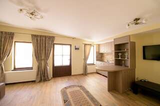 Отели типа «постель и завтрак» Pensiunea Normandia Тимишоара Апартаменты - 1-й этаж-4