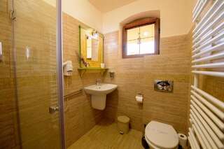 Отели типа «постель и завтрак» Pensiunea Normandia Тимишоара Люкс-2