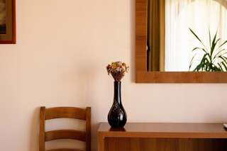 Отели типа «постель и завтрак» Pensiunea Normandia Тимишоара Двухместный номер с 1 кроватью-3