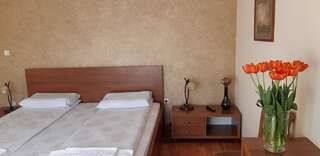 Отели типа «постель и завтрак» Pensiunea Normandia Тимишоара Двухместный номер с 1 кроватью-6