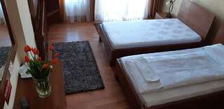 Отели типа «постель и завтрак» Pensiunea Normandia Тимишоара Двухместный номер с 1 кроватью-8