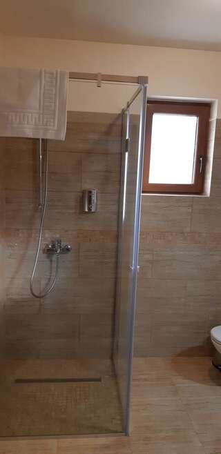 Отели типа «постель и завтрак» Pensiunea Normandia Тимишоара Трехместный номер-2