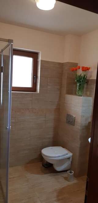 Отели типа «постель и завтрак» Pensiunea Normandia Тимишоара Трехместный номер-3