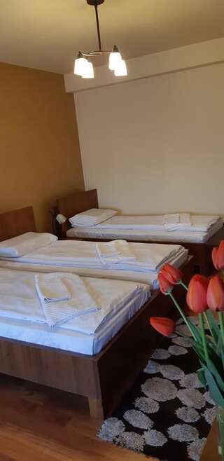 Отели типа «постель и завтрак» Pensiunea Normandia Тимишоара Трехместный номер-6