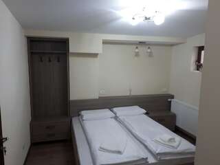 Отели типа «постель и завтрак» Pensiunea Normandia Тимишоара Апартаменты - 1-й этаж-8