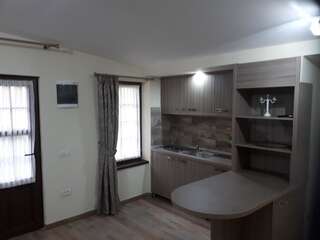 Отели типа «постель и завтрак» Pensiunea Normandia Тимишоара Апартаменты - 1-й этаж-9