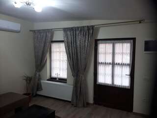 Отели типа «постель и завтрак» Pensiunea Normandia Тимишоара Апартаменты - 1-й этаж-10