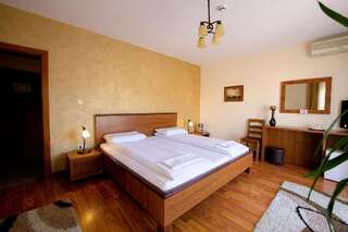 Отели типа «постель и завтрак» Pensiunea Normandia Тимишоара Двухместный номер с 1 кроватью-15