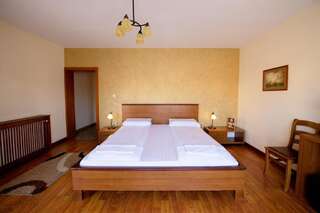 Отели типа «постель и завтрак» Pensiunea Normandia Тимишоара Двухместный номер с 1 кроватью-17