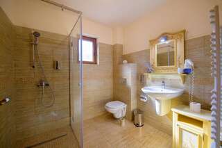 Отели типа «постель и завтрак» Pensiunea Normandia Тимишоара-4