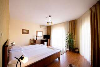 Отели типа «постель и завтрак» Pensiunea Normandia Тимишоара Двухместный номер с 1 кроватью-18