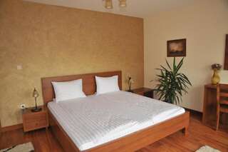 Отели типа «постель и завтрак» Pensiunea Normandia Тимишоара Двухместный номер с 1 кроватью-25