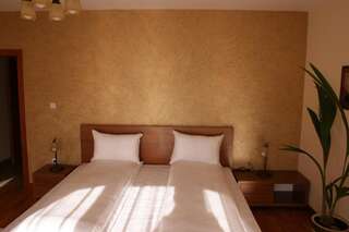 Отели типа «постель и завтрак» Pensiunea Normandia Тимишоара Двухместный номер с 1 кроватью-28