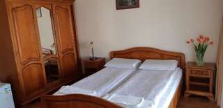 Отели типа «постель и завтрак» Pensiunea Normandia Тимишоара Двухместный номер с 1 кроватью-30
