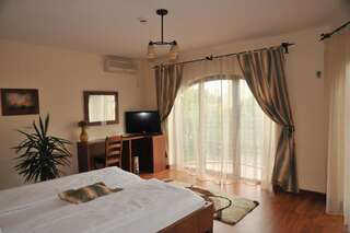 Отели типа «постель и завтрак» Pensiunea Normandia Тимишоара Двухместный номер с 1 кроватью-31