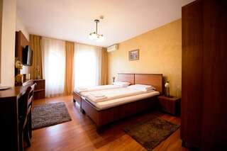 Отели типа «постель и завтрак» Pensiunea Normandia Тимишоара-6