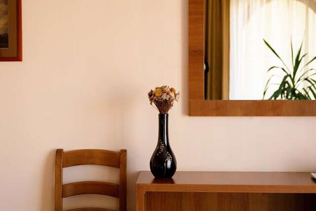 Отели типа «постель и завтрак» Pensiunea Normandia Тимишоара-24