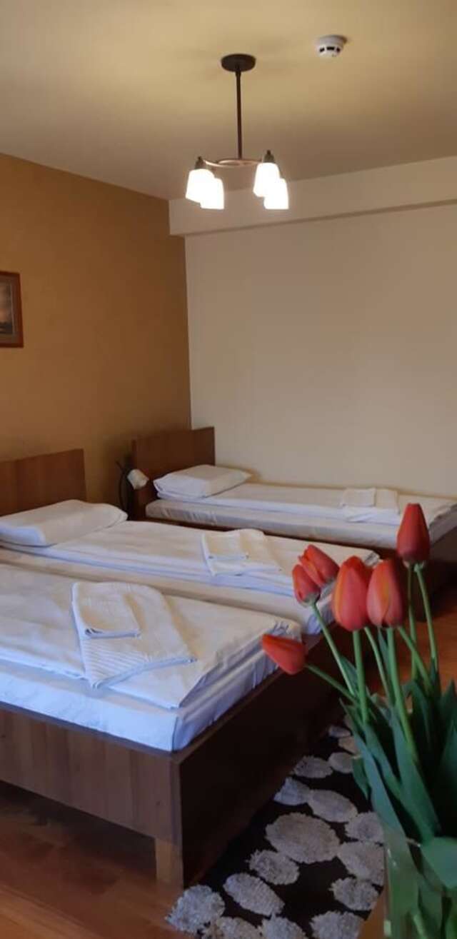 Отели типа «постель и завтрак» Pensiunea Normandia Тимишоара-36