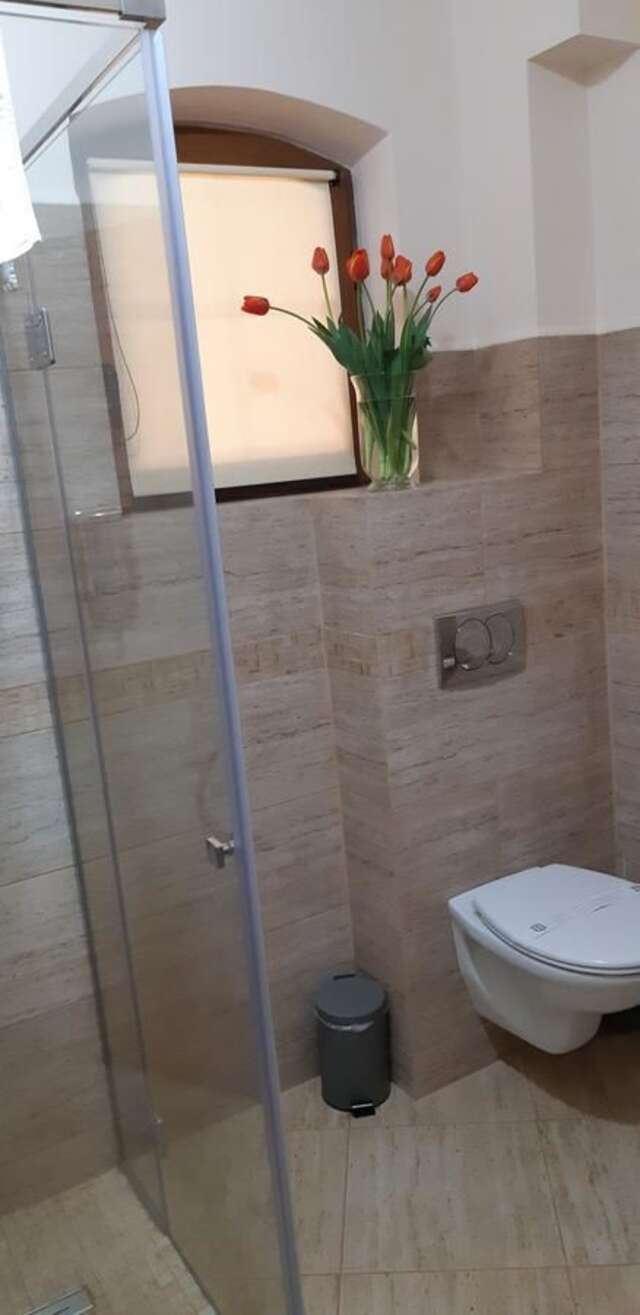 Отели типа «постель и завтрак» Pensiunea Normandia Тимишоара-38