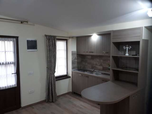 Отели типа «постель и завтрак» Pensiunea Normandia Тимишоара-45