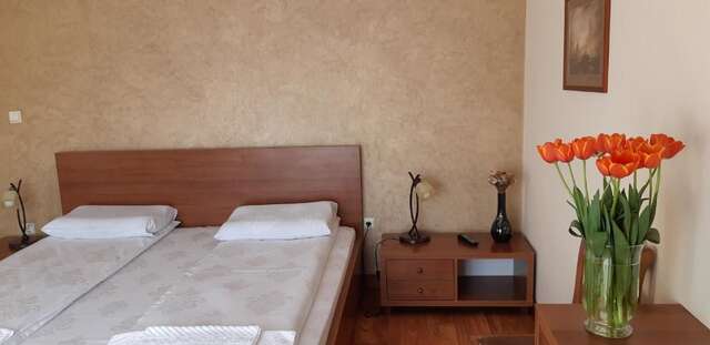 Отели типа «постель и завтрак» Pensiunea Normandia Тимишоара-53